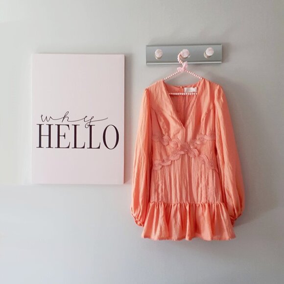 NWT Keepsake peach long sleeve trim mini dress - Picture 6 of 7